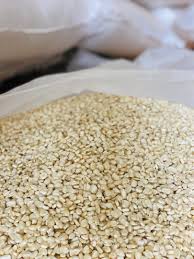 Corn White Maize - Image 3